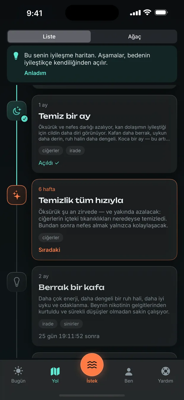 Otuz iki aşama. Vaat değil, çoktan olmuş şeyler.